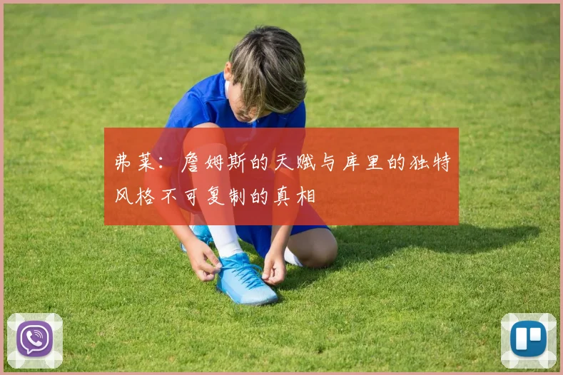 弗莱：詹姆斯的天赋与库里的独特风格不可复制的真相