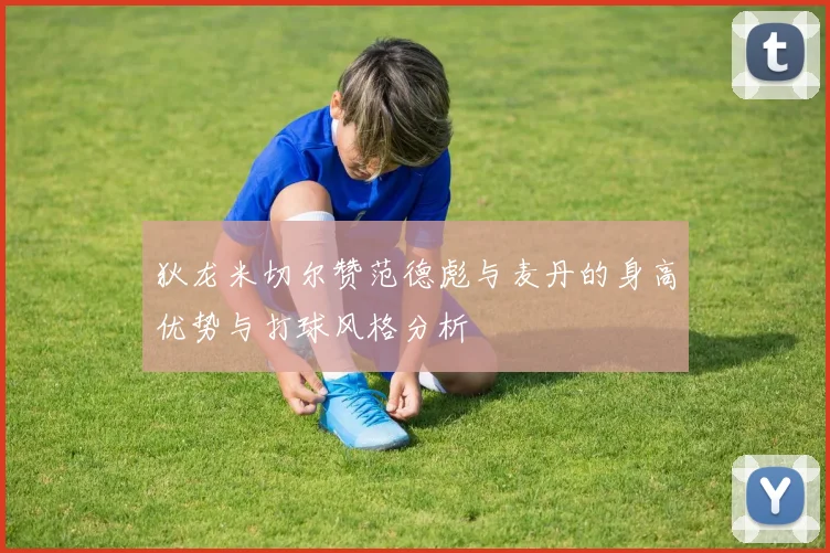 狄龙米切尔赞范德彪与麦丹的身高优势与打球风格分析